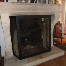 Les portes vitrées de cheminée img Les portes vitrées de cheminée